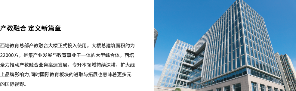 出国留学中介
