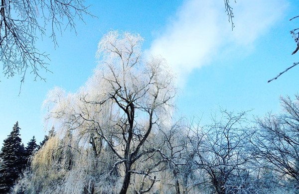 留学申请手续有哪些?_乌克兰留学_西培留学 留学申请手续有哪些?_乌克兰留学_西培留学